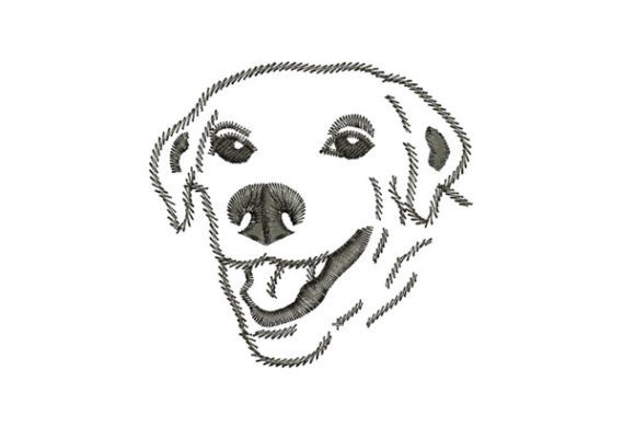 Download Golden Retriever - Old Collection