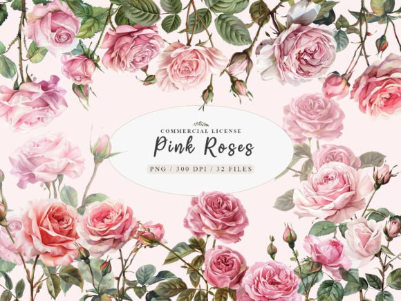Download Watercolor Pink Rose Clipart, Blush Rose - Ink Collection