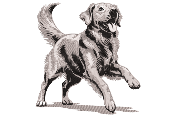Download Golden Retriever Dog - Old Collection