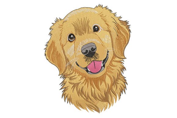 Download Golden Retriever Dog - Old Collection
