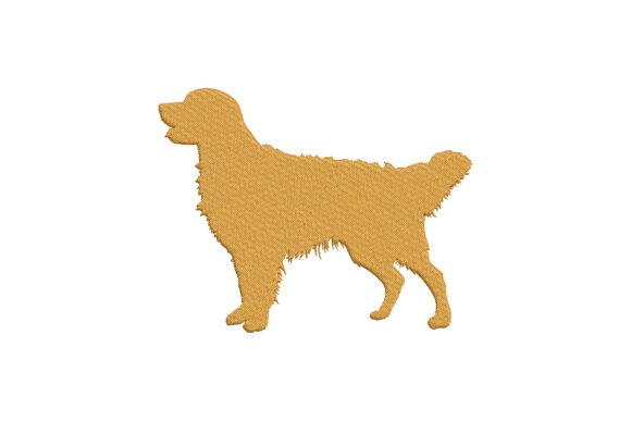 Download Elegant Golden Retriever Dog - Old Collection