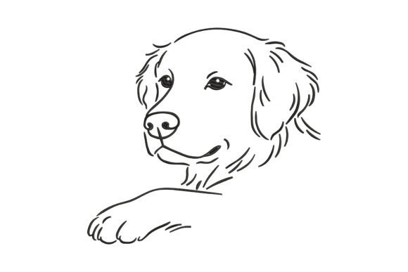Download Cute Golden Retriever - Old Collection
